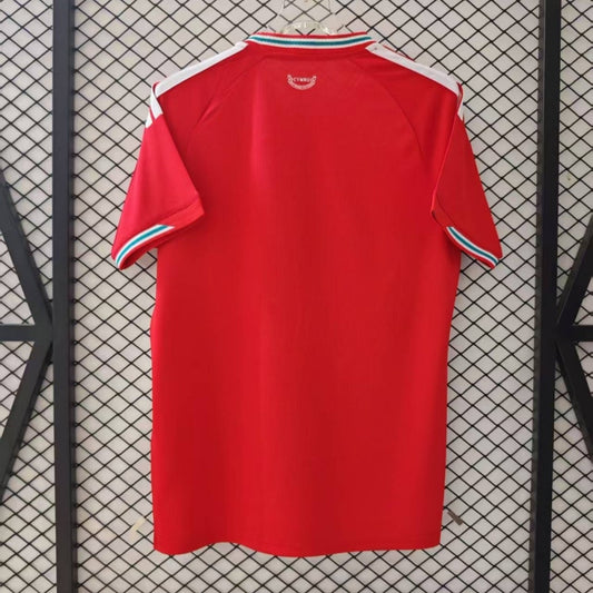 Camiseta local de Gales 25/26