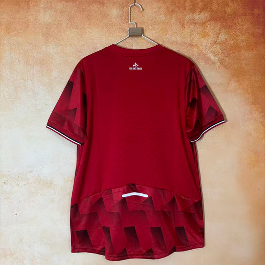 Camiseta local del Lille 25/26