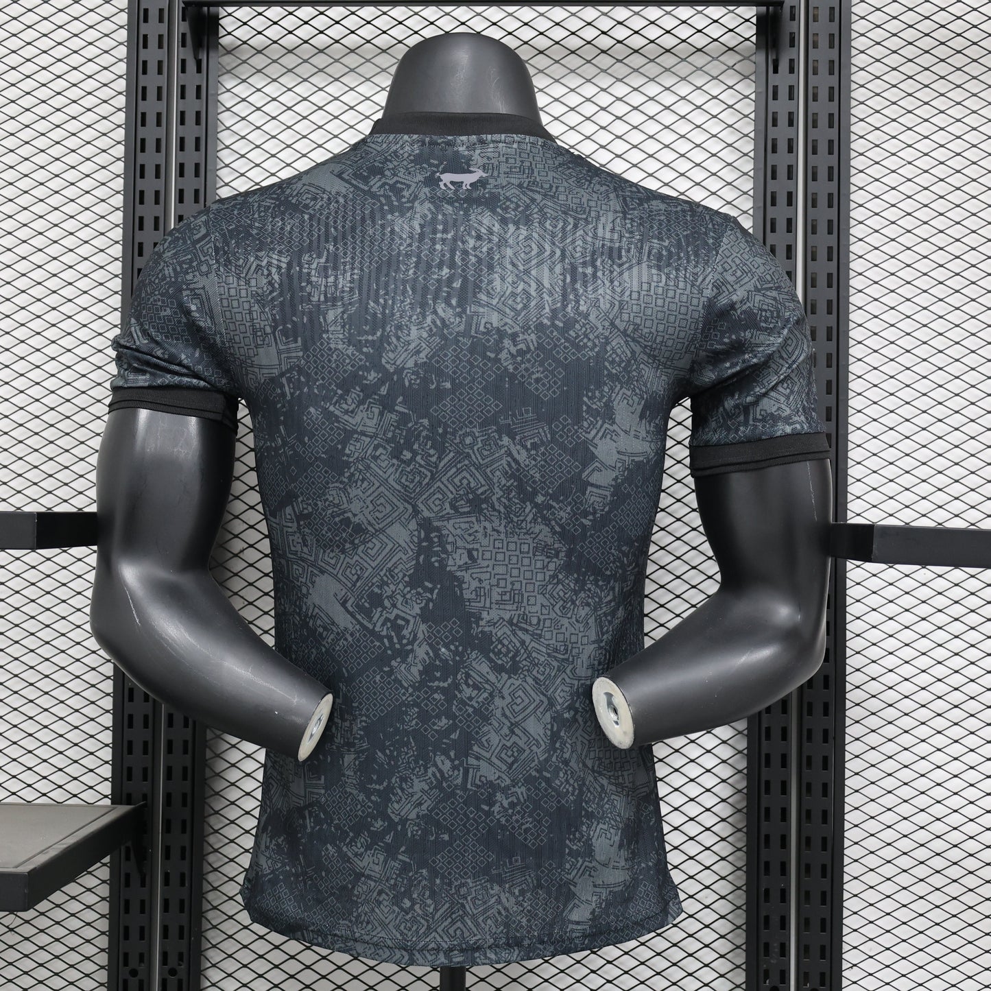 Camiseta especial de jugador de Argentina 24/25