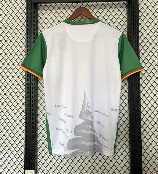 Camiseta especial de Camerún 25/26