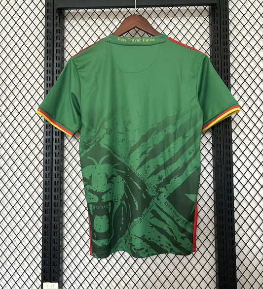 Camiseta especial de Camerún 25/26