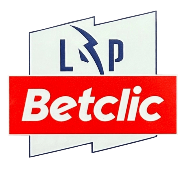 Parche de la manga