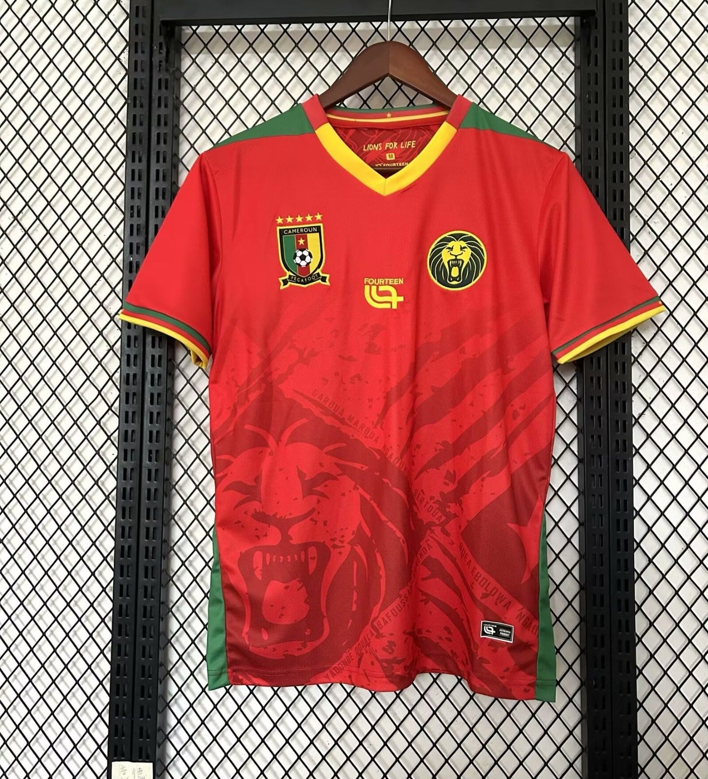 Camiseta especial de Camerún 25/26