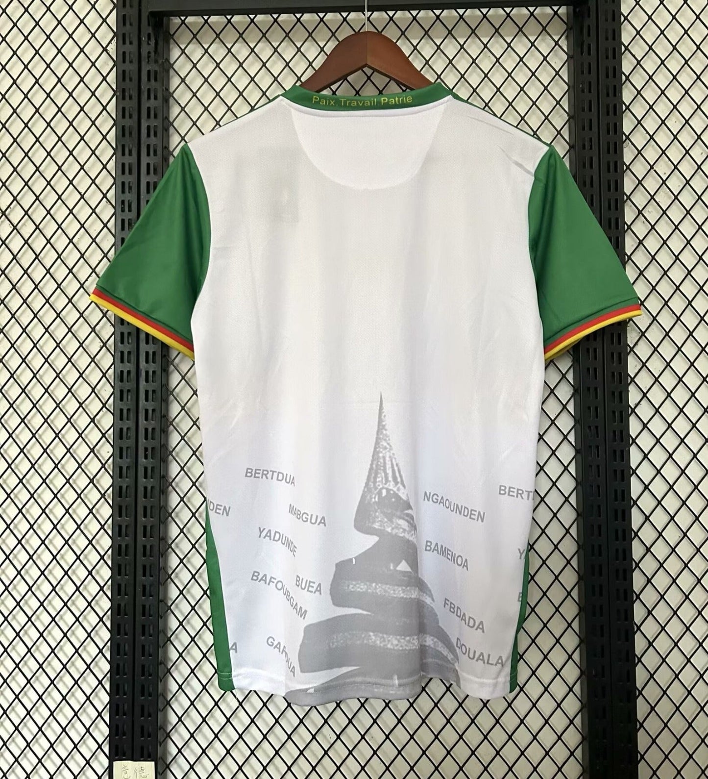 Camiseta especial de Camerún 25/26