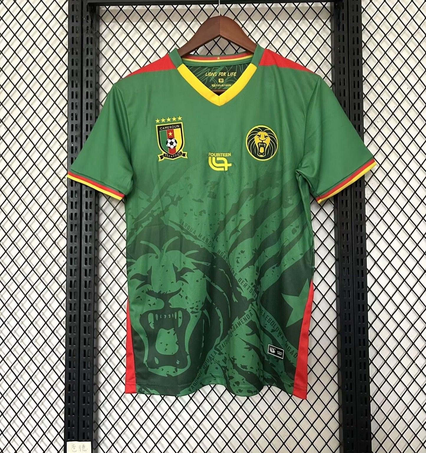 Camiseta especial de Camerún 25/26