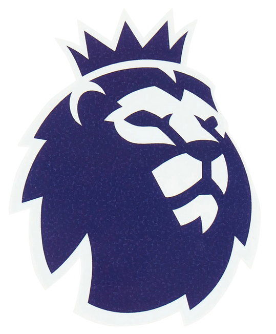 Parche de la manga